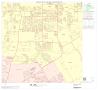Primary view of 2000 Census County Subdivison Block Map: Arlington CCD, Texas, Block 13