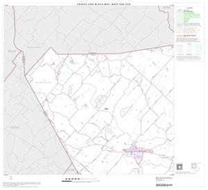 2000 Census County Subdivison Block Map: West End CCD, Texas, Block 1