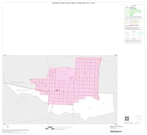 2000 Census County Subdivison Block Map: Sterling City CCD, Texas, Inset A01