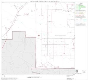 2000 Census County Subdivison Block Map: Realitos-Concepcion CCD, Texas, Block 5