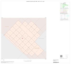 2000 Census County Subdivison Block Map: Bay City CCD, Texas, Inset A01