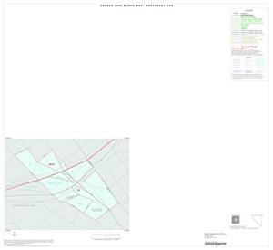 2000 Census County Subdivison Block Map: Northeast CCD, Texas, Inset D01