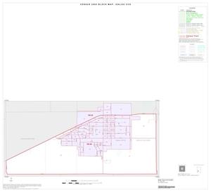 2000 Census County Subdivison Block Map: Idalou CCD, Texas, Inset A01