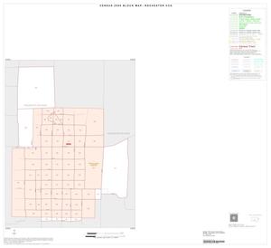 2000 Census County Subdivison Block Map: Rochester CCD, Texas, Inset A01