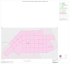 2000 Census County Subdivison Block Map: Brazoria-West Columbia CCD, Texas, Inset A01