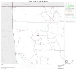 2000 Census County Subdivison Block Map: Coleman CCD, Texas, Block 1