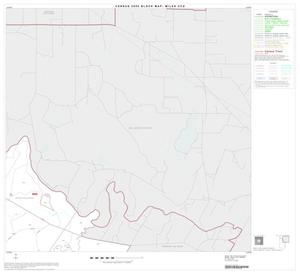 2000 Census County Subdivison Block Map: Miles CCD, Texas, Block 2