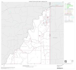 2000 Census County Subdivison Block Map: Moran CCD, Texas, Block 1