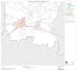 2000 Census County Subdivison Block Map: Big Sandy CCD, Texas, Block 2