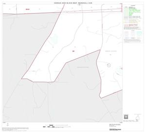 2000 Census County Subdivison Block Map: Marshall CCD, Texas, Block 13