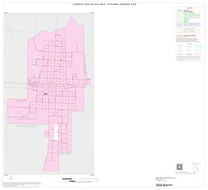2000 Census County Subdivison Block Map: Strawn-Gordon CCD, Texas, Inset B01