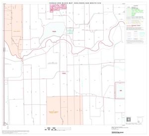 2000 Census County Subdivison Block Map: Harlingen-San Benito CCD, Texas, Block 13
