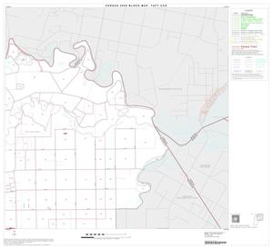 2000 Census County Subdivison Block Map: Taft CCD, Texas, Block 2