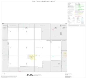 Primary view of object titled '2000 Census County Subdivison Block Map: Levelland CCD, Texas, Index'.