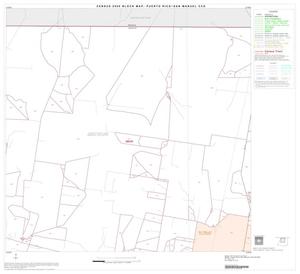 2000 Census County Subdivison Block Map: Puerto Rico-San Manuel CCD, Texas, Block 2