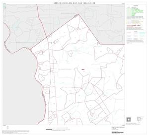 2000 Census County Subdivison Block Map: San Ygnacio CCD, Texas, Block 1