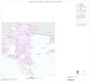 2000 Census County Subdivison Block Map: Livingston-New Willard CCD, Texas, Inset A02