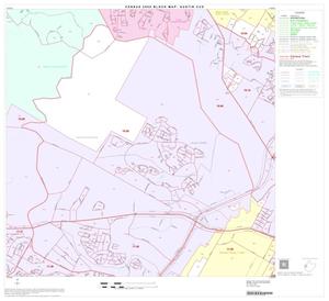 2000 Census County Subdivison Block Map: Austin CCD, Texas, Block 22