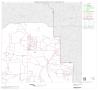 Map: 2000 Census County Subdivison Block Map: South Jim Hogg CCD, Texas, B…