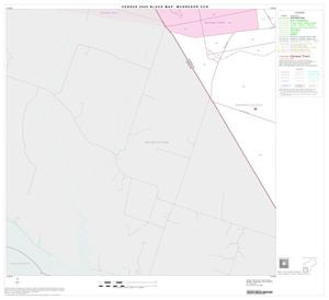 2000 Census County Subdivison Block Map: McGregor CCD, Texas, Block 7
