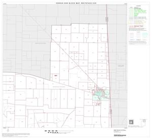 2000 Census County Subdivison Block Map: Whiteface CCD, Texas, Block 2