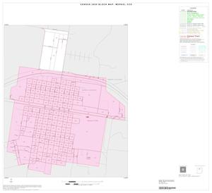 2000 Census County Subdivison Block Map: Merkel CCD, Texas, Inset B01