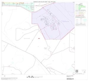 2000 Census County Subdivison Block Map: Del Rio CCD, Texas, Block 13