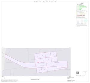2000 Census County Subdivison Block Map: Naples CCD, Texas, Inset B01