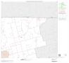 Map: 2000 Census County Subdivison Block Map: Rotan CCD, Texas, Block 2