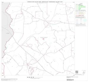 2000 Census County Subdivison Block Map: Montalba-Tennessee Colony CCD, Texas, Block 4