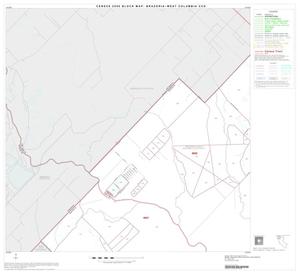 2000 Census County Subdivison Block Map: Brazoria-West Columbia CCD, Texas, Block 1