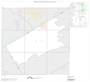 2000 Census County Subdivison Block Map: Chilton CCD, Texas, Index