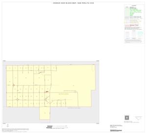 2000 Census County Subdivison Block Map: San Perlita CCD, Texas, Inset B01
