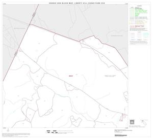 2000 Census County Subdivison Block Map: Liberty Hill-Cedar Park CCD, Texas, Block 2