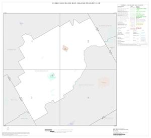 2000 Census County Subdivison Block Map: Malone-Penelope CCD, Texas, Index