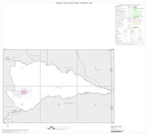 2000 Census County Subdivison Block Map: Cooper CCD, Texas, Index