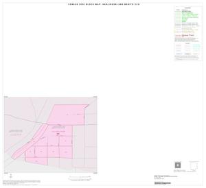 2000 Census County Subdivison Block Map: Harlingen-San Benito CCD, Texas, Inset L01