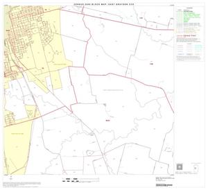 2000 Census County Subdivison Block Map: East Grayson CCD, Texas, Block 13