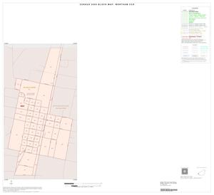 2000 Census County Subdivison Block Map: Wortham CCD, Texas, Inset B01