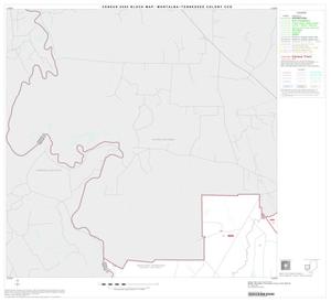 2000 Census County Subdivison Block Map: Montalba-Tennessee Colony CCD, Texas, Block 3