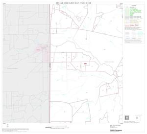 2000 Census County Subdivison Block Map: Tilden CCD, Texas, Block 4