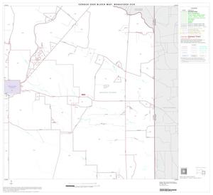 2000 Census County Subdivison Block Map: Benavides CCD, Texas, Block 6