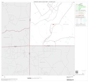 2000 Census County Subdivison Block Map: Tilden CCD, Texas, Block 10