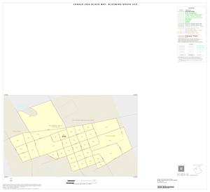 2000 Census County Subdivison Block Map: Blooming Grove CCD, Texas, Inset B01