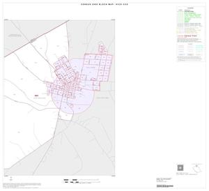 2000 Census County Subdivison Block Map: Hico CCD, Texas, Inset A02