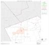 Map: 2000 Census County Subdivison Block Map: Pettus-Pawnee CCD, Texas, Bl…