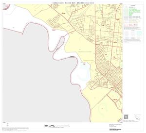 2000 Census County Subdivison Block Map: Brownsville CCD, Texas, Block 14