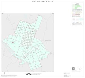 2000 Census County Subdivison Block Map: Blanco CCD, Texas, Inset A01