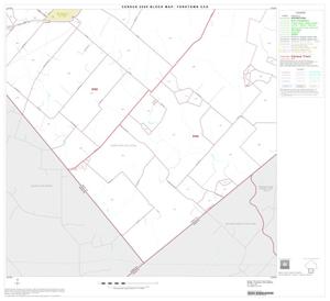 2000 Census County Subdivison Block Map: Yorktown CCD, Texas, Block 8