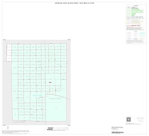 2000 Census County Subdivison Block Map: Big Wells CCD, Texas, Inset A01